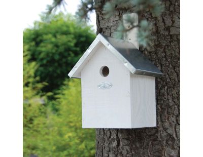 Nichoir à mésange en bois de pin blanc