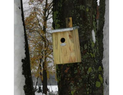 Nichoir mésange bois et zinc