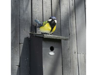 Oiseau mésange charbonnière en résine (20 x 10 x 12 cm)