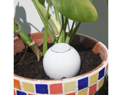 Ollas à planter en argile Medium (Blanc)