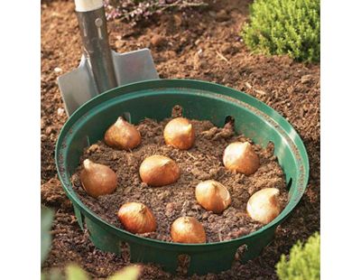 Panier pour bulbes rond 30 cm (Lot de 2)