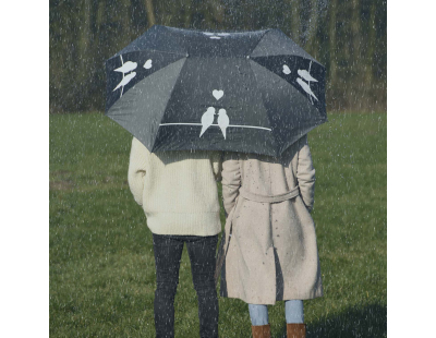 Parapluie double pour les amoureux