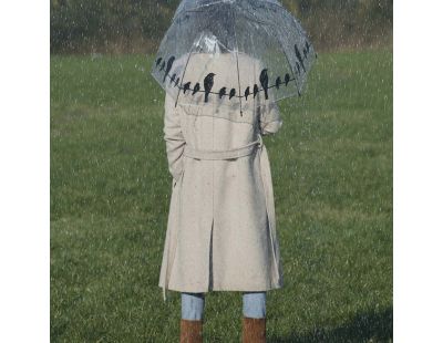 Parapluie transparent noir (Oiseaux sur un fil)