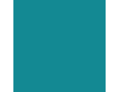 Peinture bleu turquoise pour meuble en bois brut 1 litre (Bleu turquoise)