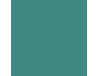 Peinture turquoise menthe pour meuble en bois brut 1 litre (Turquoise menthe)