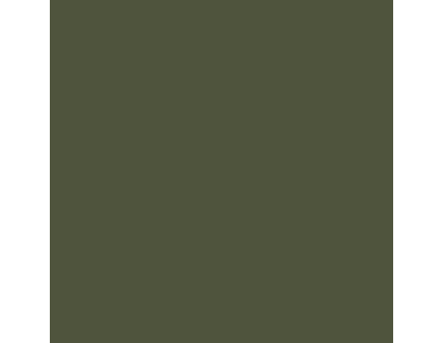 Peinture vert olive pour meuble en bois brut 1 litre (Vert olive)