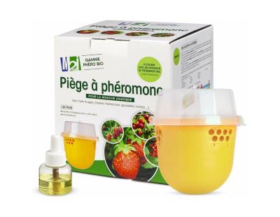 Piège à phéromones mouche asiatique des fruits rouges Droso Pro