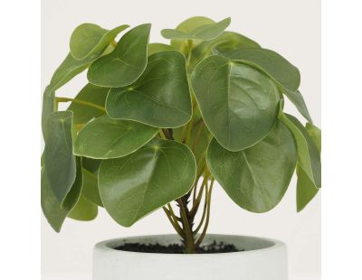 Pilea artificielle pot effet ciment 23 cm