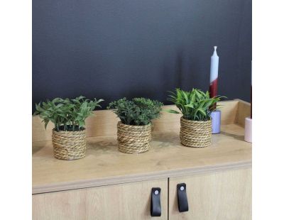 Plante artificielle avec pot tressé (Lot de 3)