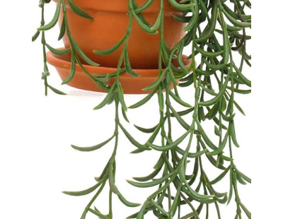 Plantes artificielles en pot terracotta (Lot de 3)