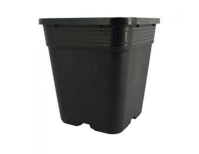 Pot de plantation carré noir 6 litres  19 x 19 x 21 cm (Lot de 5)