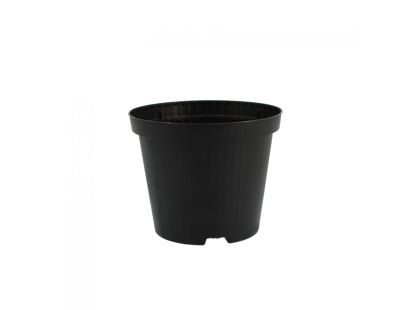 Pot de plantation rond noir 10 cm de diamètre (Lot de 30)