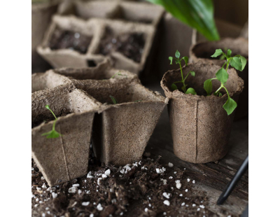 Pots de plantation bio sans tourbe (12 pots - 8 cm - ronds)