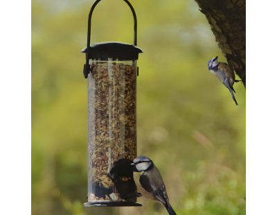 Set abri mangeoire et graines oiseaux (Pour mésanges bleues)