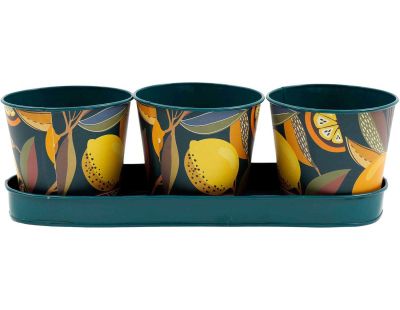 Set de 3 cache-pots en métal Citrus