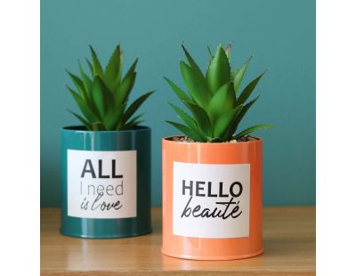 Succulentes artificielles dans pots à message 17 cm (Lot de 2)