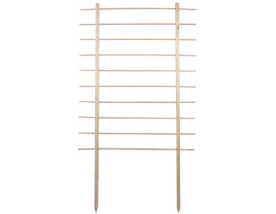 Support en bois de pin pour plantes Treilli (100 x 170 cm)