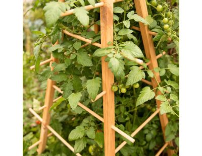 Support en bois de pin pour plantes 4 piquets (Pyramide)