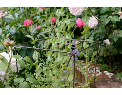 Support à plantes en acier (Lot de 6) (75 cm)