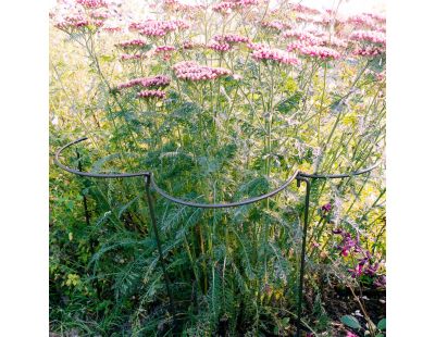 Support à plantes courbé en acier (Lot de 6)