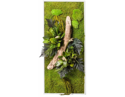 Tableau végétal stabilisées nature Rectangle (57 x 97 cm)