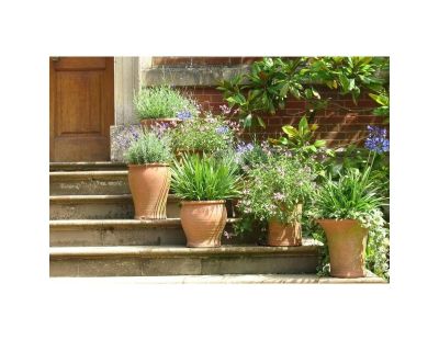 Terreau horticole plantes en pots et bacs Terro-tonic 20 litres