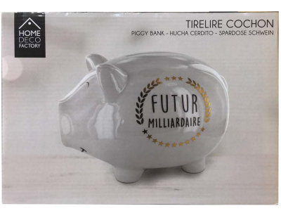 Tirelire cochon XXL Futur milliardaire