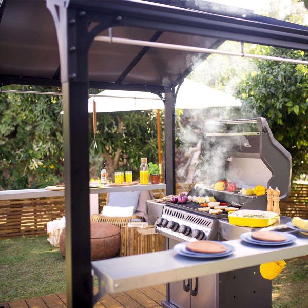 Abri barbecue en aluminium et polycarbonate Austin - 7