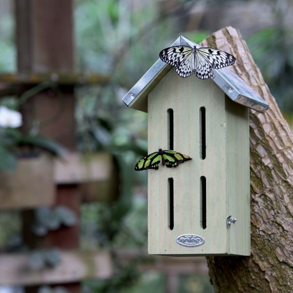 Abri pour papillons - BEST FOR BIRDS