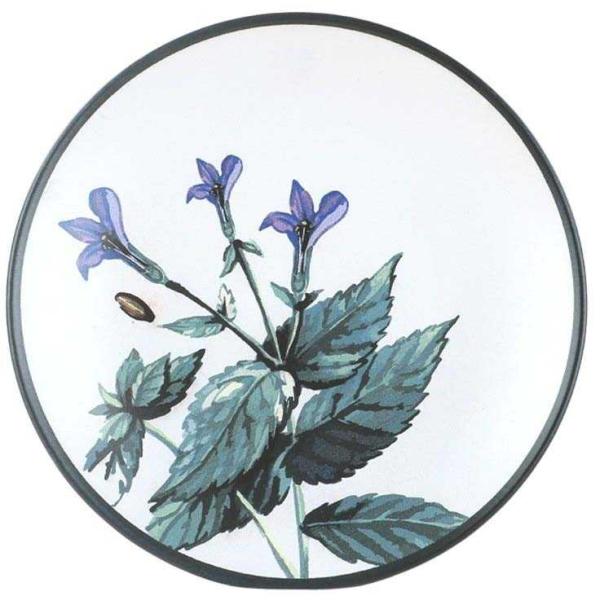 Assiette en céramique Green garden (Lot de 6) - 7