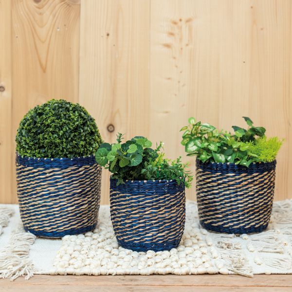 Cache-pots en jonc naturel et bleu (lot de 3) - AUBRY GASPARD