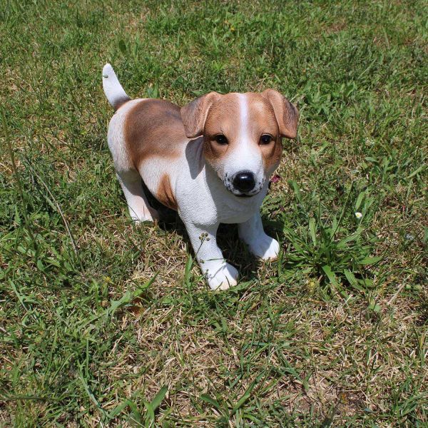 Chien Jack russel en résine 39 x 18 x 26 cm - 5