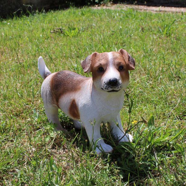 Chien Jack russel en résine 39 x 18 x 26 cm - IMH-0133