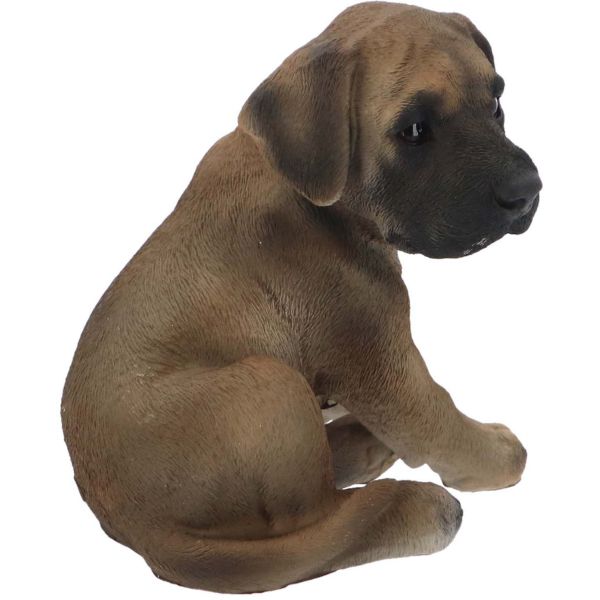 Chiot dogue allemand assis en résine - 6