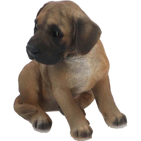 Chiot dogue allemand assis en résine - 8