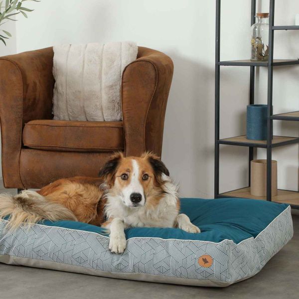 Coussin pour chiens en tissu déhoussable Kanga - ZOLUX