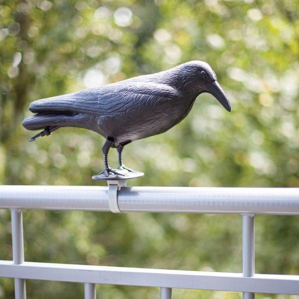 Windhager Dispositif anti-pigeons imitation du corbeau