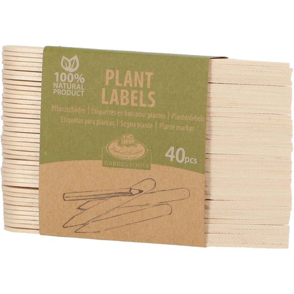 Etiquettes pour plantes en bouleau (Lot de 40) - 6