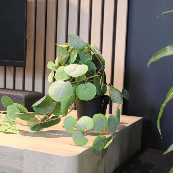 Eucalyptus retombant artificiel en pot 40 cm - 12,90