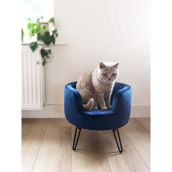 Fauteuil Pour Animaux En Velours Velvet Bleu Fonce