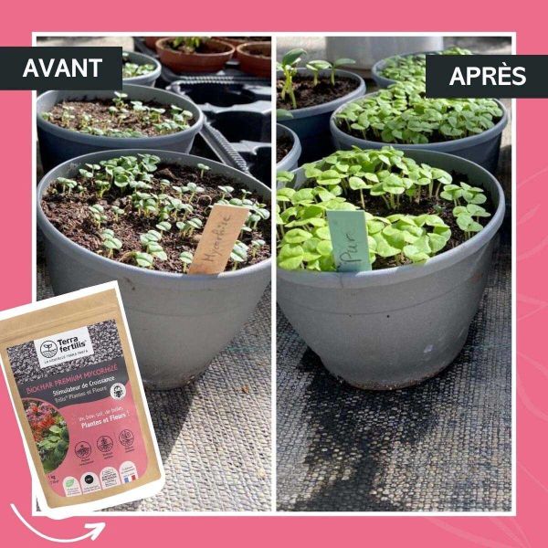 Fertilisant plantes et fleurs à base de mycorhizes 500 gr - 18,90