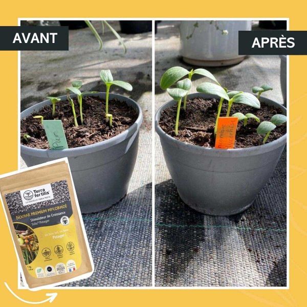 Fertilisant potager à base de mycorhizes 500 gr - 18,90