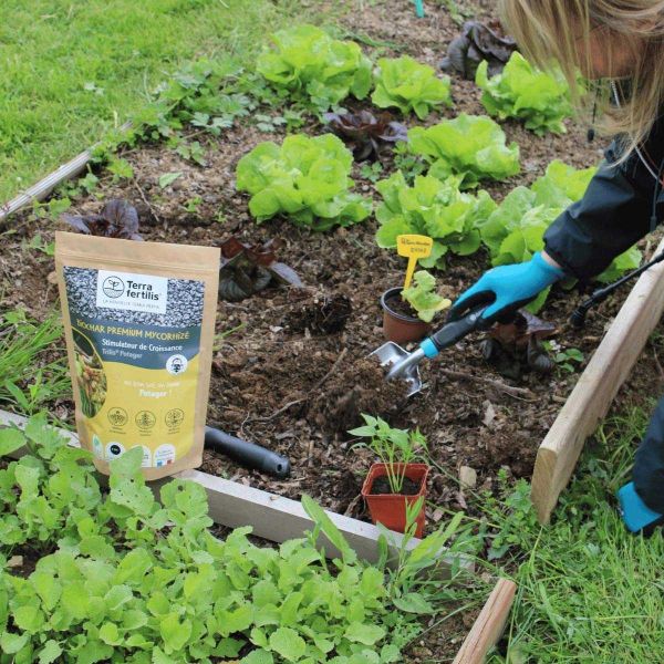 Fertilisant potager à base de mycorhizes 500 gr - 6