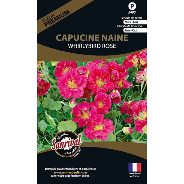 Graines de fleurs premium capucine naine Whirlybird rose