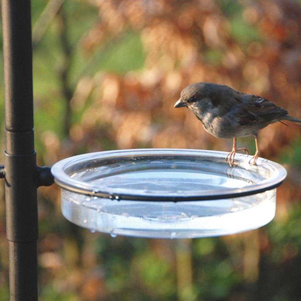 Grande station d'alimentation pour oiseaux - 7