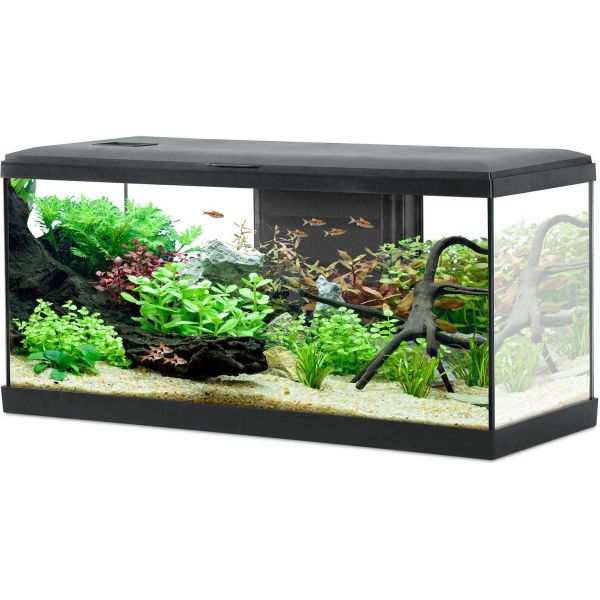 Kit aquarium Tana 84L - ZOLUX