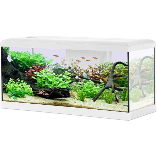 Kit aquarium Tana 84L - ZOLUX