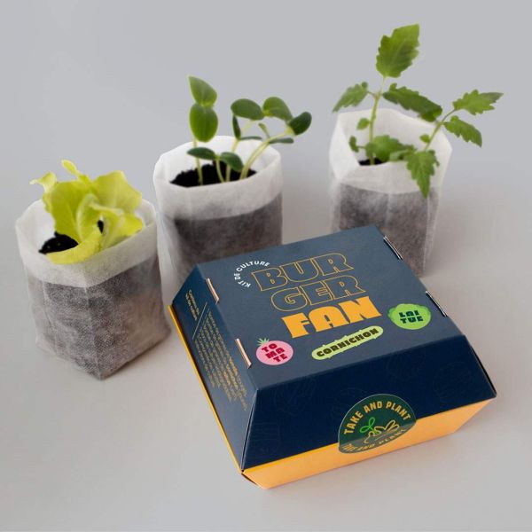 Kit de culture complet Take and plant - MAN-0139