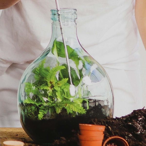 Kit terrarium végétal à faire soi-même DIY - ESSCHERTS GARDEN