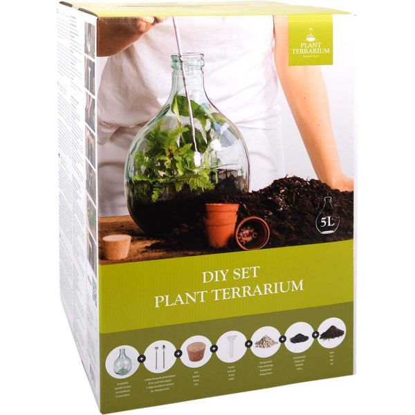 Kit terrarium végétal à faire soi-même DIY - 5